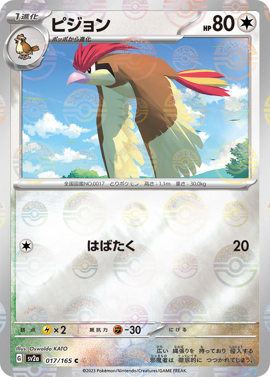 Pidgeotto (Poke Ball Pattern)